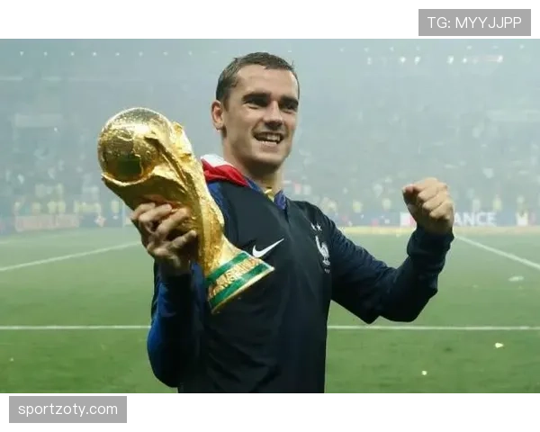 帕利尼亚与赖斯：防守覆盖能力与全面性差异解析